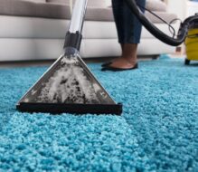 Why You Should Clean Your Carpet