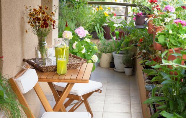 Questions to Ask Before Starting a Garden Balcony